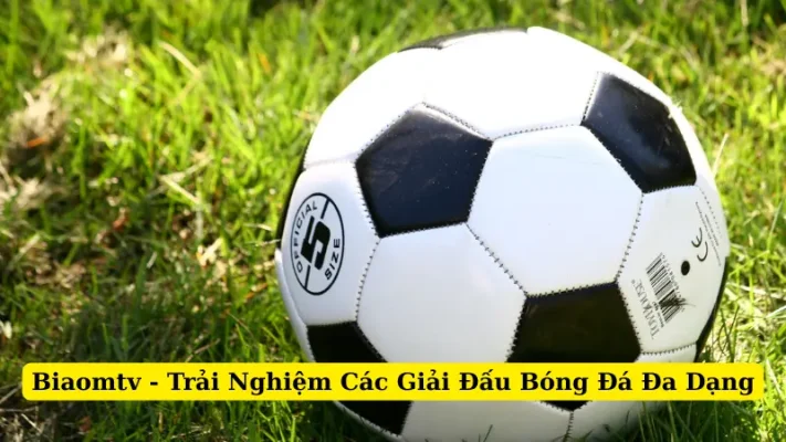 Biaomtv - Trải Nghiệm Trực Tiếp Các Giải Đấu Bóng Đá Đa Dạng