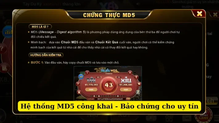Hệ thống MD5 công khai - Bảo chứng cho uy tín